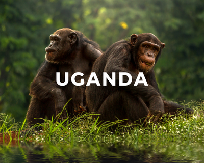 Ricostruiamo l'Uganda