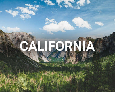 Ripristino delle foreste in California: 4 progetti chiave